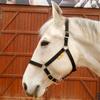 Durable Woven Horse Halter & Lead Rope for Training and Riding