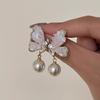 Silver needle flash zircon earrings, women's exquisite temperament stud earrings, spring and summer earrings.