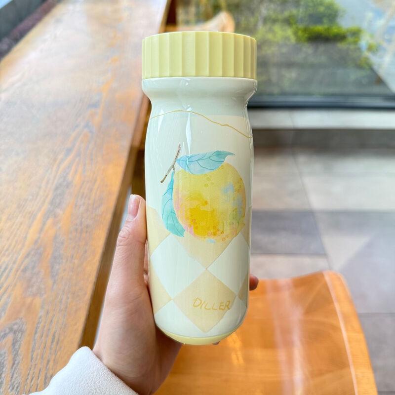 Diller D9517 Insulated Water Bottle