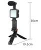 Kit Microfono Professionale per Vlogging Video Studio di Fabbrica Originale Tuta Fotografica con Supporto Treppiede e Luce LED
