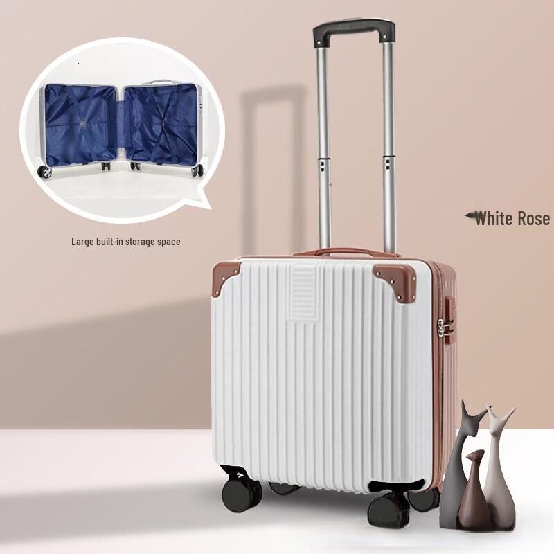 Li Shen ABS Hardside Carry-On Spinner Suitcase with Password Lock