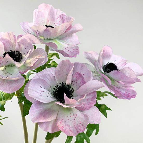 Artificial Flower UV Resistant Realistic Fake Silk Flower Stem Home Office Wedding Party Indoor Outdoor Faux Bloom Table Centerpiece