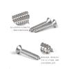 Tapping Screw Set: A Set of Extremely Small Screws Ideal for Connecting Steel Plates and Thin Plates. Screws, Wood Screws, Tapping Screws, Screw Sets,