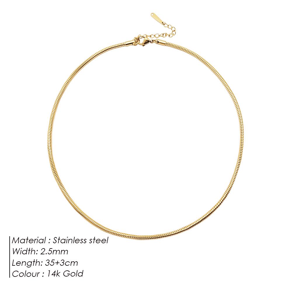 eManco Titanium Steel Round Chain Necklace - Simple European/American Style for Women and Couples, Long Snake Bone Chain, Clavicle Design.