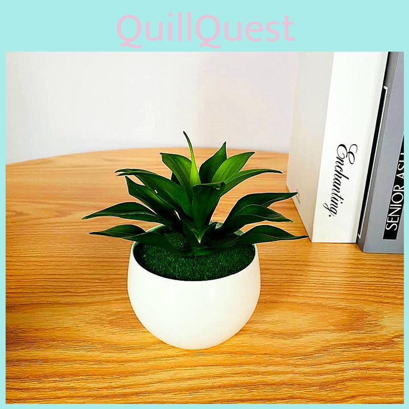 Artificial Sinocrassula Indica Potted Plant Succulent Plant For Home Decor