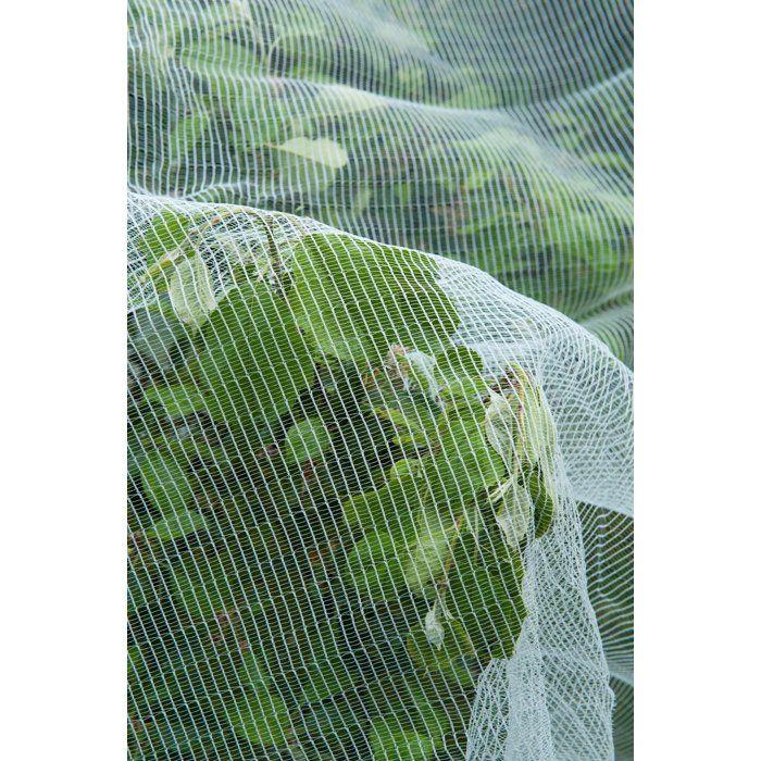 Filet protection contre ver de pomme/poire et grêle - NATURE - 5,2 x 5m - 3 x 6mm