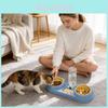Pet Cat Food And Water Bowl Set With Antispill Design For Home Use