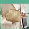 Stylish 2024 Plaid Woven Bag Soft Casual Ethnic Shell Clutch Purse For Daily Use