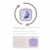 Silent Operation Visual Timer Self Discipline Kitchen Cooking Timer  Timer Management Tool