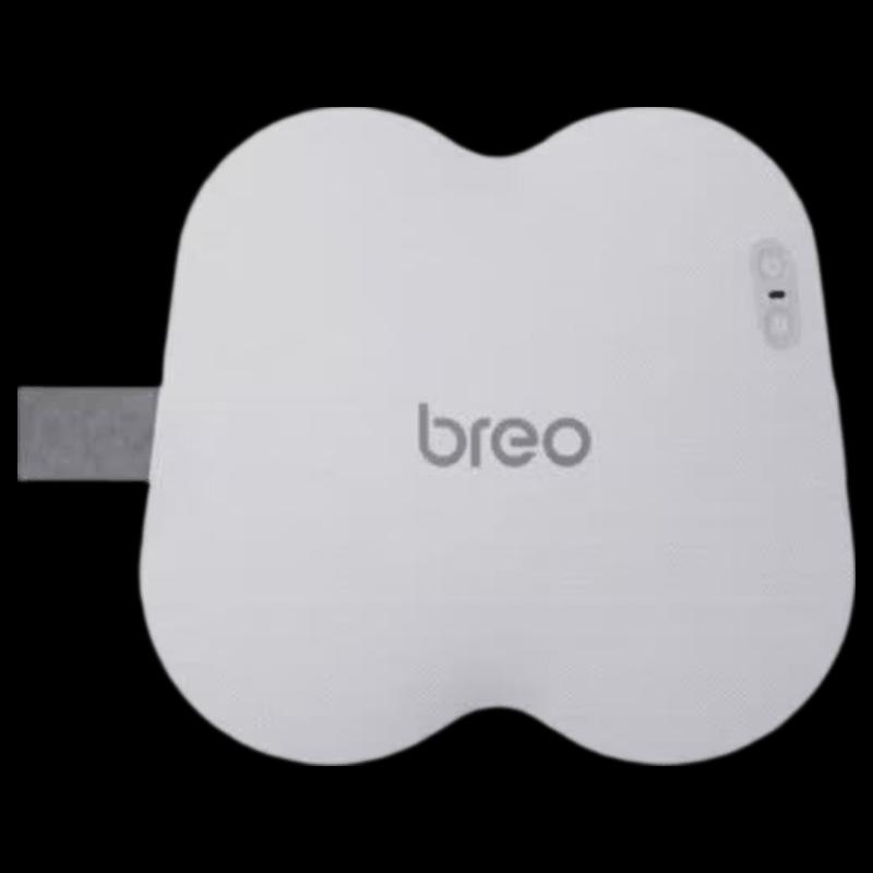 

Breo Back 2S Heated Kneading Waist Massager CN plug (adapter included)