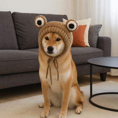 Haustier Cosplay Mütze Warme Hunde Strickmütze Verstellbar Leiser Lärmschutz Haustier Kopfbedeckung Cartoon Handgemacht Haustier Froschmütze Fotografie