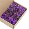 Set aus 50 getrockneten Schleierkraut-Bündeln, ewige Blumenstiele für Vasenarrangements, Dekoration, Tischmittelstücke 55KF