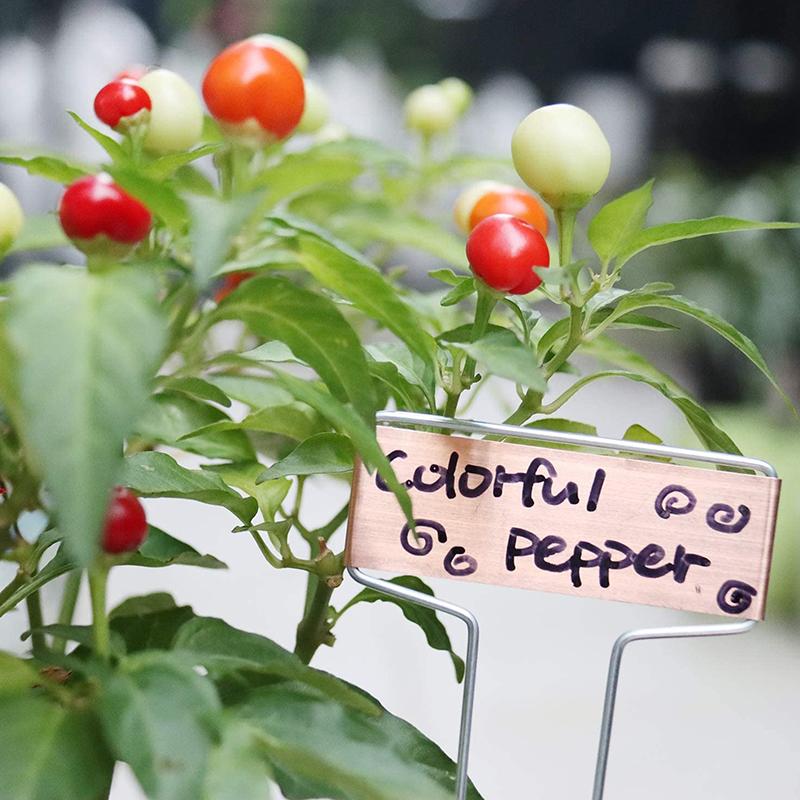 10pcs Metal Plant Label Stakes 6/8/10inch Copper Plant Tags Inserts Sign Weatherproof Marking Gardening Flowers Herbs Marker