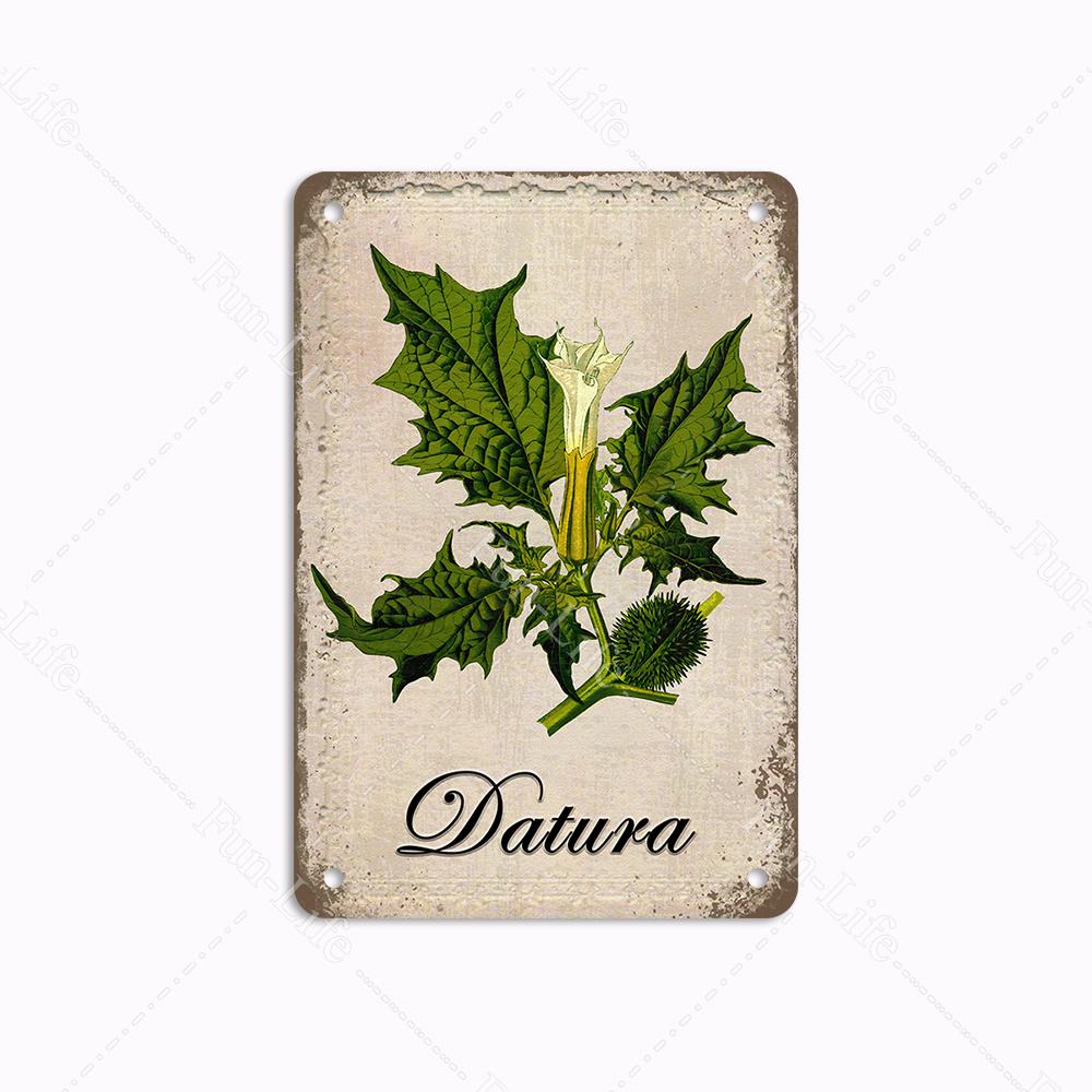 Metallblechschilder im Vintage-Stil mit Blumen, Retro-Grünpflanzen, Metallplakate, Schilder, Plakette für Bar, Kneipe, Garten, Bauernhof, Heimwanddekoration, 20 x 30 cm