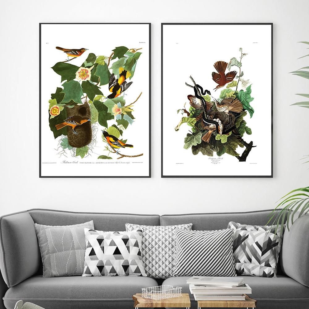 Retro American Birds Illustrations Print Vintage Poster Bird Tree Wall Art Canvas Painting For Living Room Home Decor No Frame (with Frame)