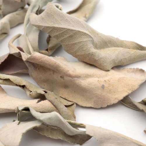 GOLD STONE Crushed White Sage, Unsorted, B-Grade, 50g, Pesticide-Free, California-Grown
