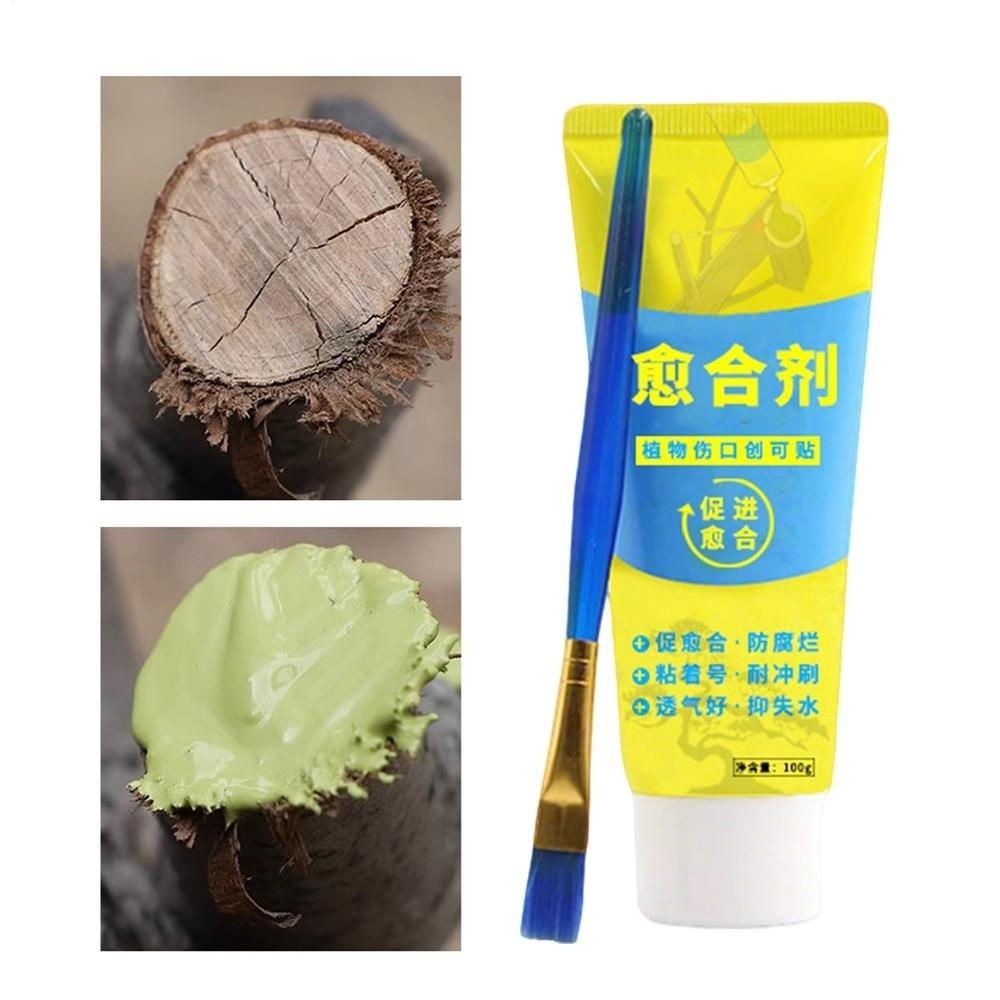 With Brush Grafting Tree Sealer 100g Plant Restoring Sealant New Bonsai Cut Paste  Tree Care
