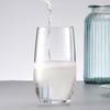 Diller 375ml Heat-Resistant Glass Water Cup