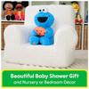 GUND Sesame Street Peekaboo Cookie Monster 6069780