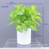 Artificial Pothos Plant Decor Living Room Office Indoor Home Decoration Fake Greenery