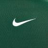 Nike Logo Color Block Fleece Sports Jacket Men Jackets Canyon-Green IB8766-341