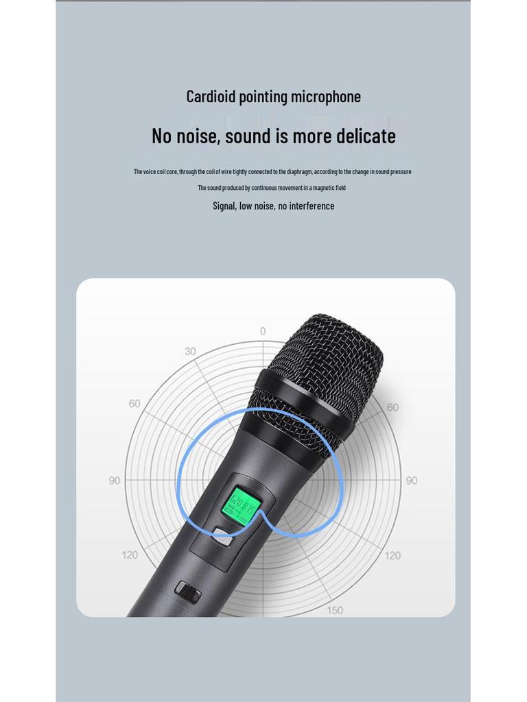 Wireless Professional Microphone Set with Anti-Howling for Karaoke, Meetings, and Performances