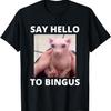 Funny Bingus My Beloved Hairless Sphinx Cat Bingus Cat Meme T-Shirt for Men Women Girls Kids(1)
