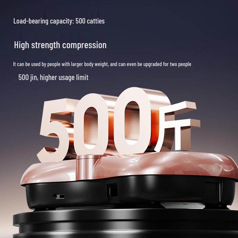 OES Full Body Vibration Plate Machine