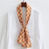 Thin and narrow long silk scarf Double-layer double-sided scarf Simulation silk female Korean version fashionable versatile decorative scarf literary