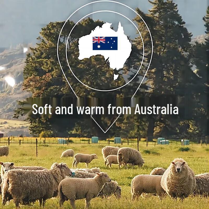 LUOLAI Australian 100% Wool Quilt