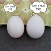10pcs Eggshell Plastic Fake Eggs Simulation Artificial Incubation Eggs  Home Decoration