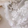 160*300cm Lace Mesh Translucent Curtains Decorative Curtain