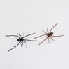 American Style Plastic Spider Decor For Party Gifts And Celebrations