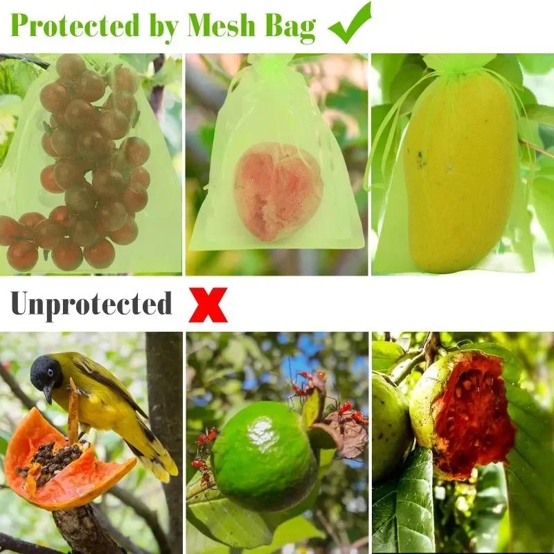 10/100PCS Fruit Protection Bags Grapes Mesh Bag Anti-Bird Pest Control Vegetable Fruits Mesh Covers with Drawstring Garden Tools