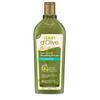 Shampoo für Haardichte mit Olivenöl