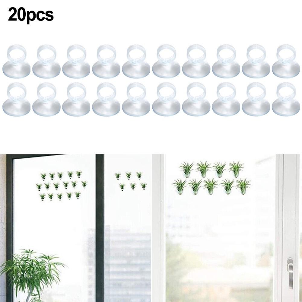 Office Plant Holder Reusable Strong Suction Tillandsia Stands