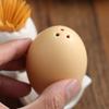 2Pcs Creative Ceramics Egg Model Seasoning Cruet Decorative Porcelain Salt and Pepper Caster Kitchen Condiment Bottle Dining