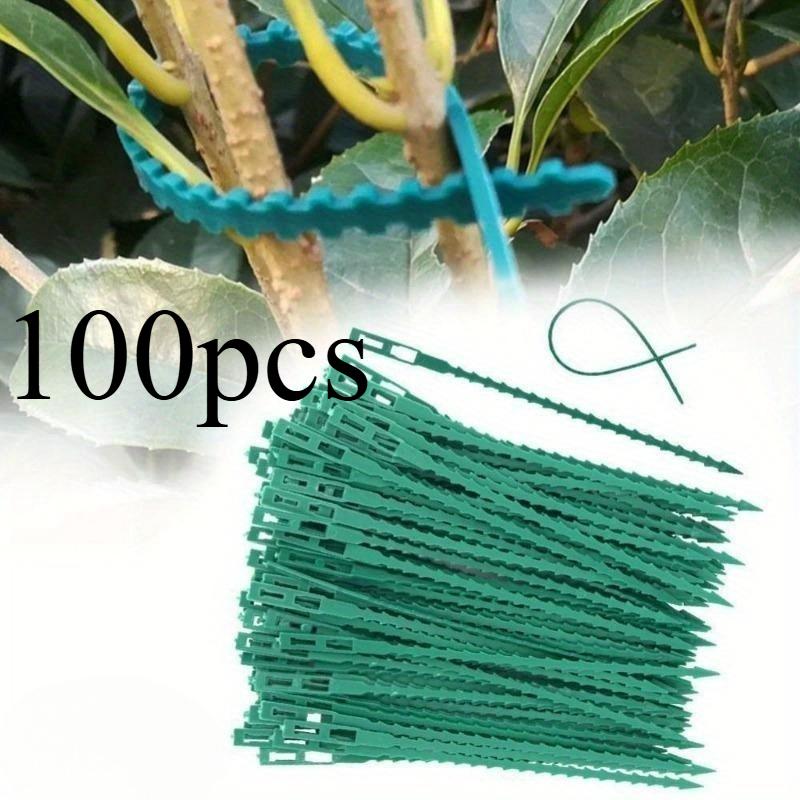 

100pcs Green Fishbone Tie, Garden Climbing Vine Plant Fixing Buckle, Gardening Accessories Binding Wire Binding Strap 100pcs зелёный