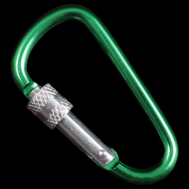 D-Shape Locking Carabiner Keyring