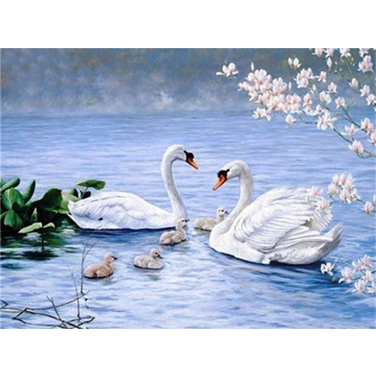 Diamond Painting Kit 5d Crystal Art And Accessories Tools Swan Lake Sunset Picture Diy Craft Home Decoration At Affordable S Free Shipping Real Reviews With Photos Joom - Lake Home Decor Accessories Diamond Painting Kit 5d Crystal Art And Accessories Tools Swan Lake Sunset Picture Diy Craft Home Decoration At Affordable S Free Shipping Real Reviews With Photos Joom - Lake Home Decor Accessories