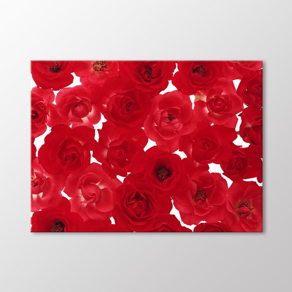 

Картина Красных Роз