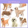Childrens Pvc Toy Cibotium Barometz Welsh Corgi Shepherd Dog Pet Animal Models For Kids Play And Decor