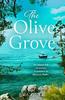 The Olive Grove by Eva Glyn Paperback Book 9780008453312
