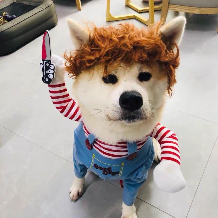 

Halloween Pet Cosplay Costume Dog Dress for Small & Medium Dogs – Fun & Stylish Outfit Dogs Cats Pet Playing with Funny Clothes S синій