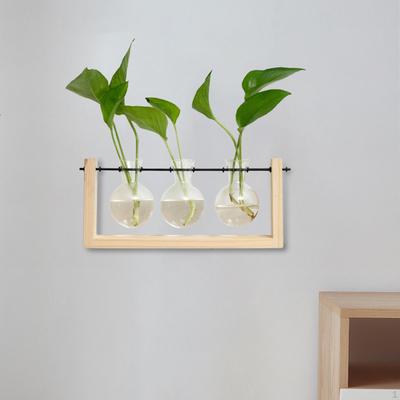 Pflanzenvasen Glas Hängepflanzer, Wandmontierte Vermehrungsstation Blumentopf Bonsai für