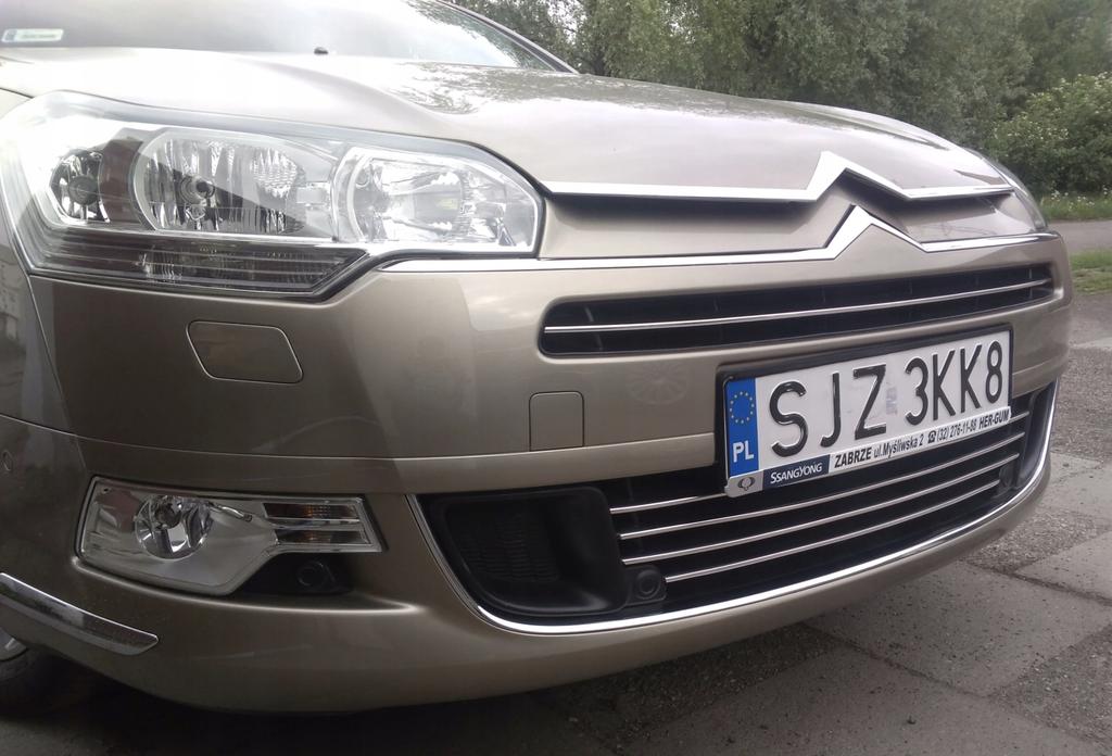 Citroen C5 III - Strisce Cromate Per Griglia Cromata