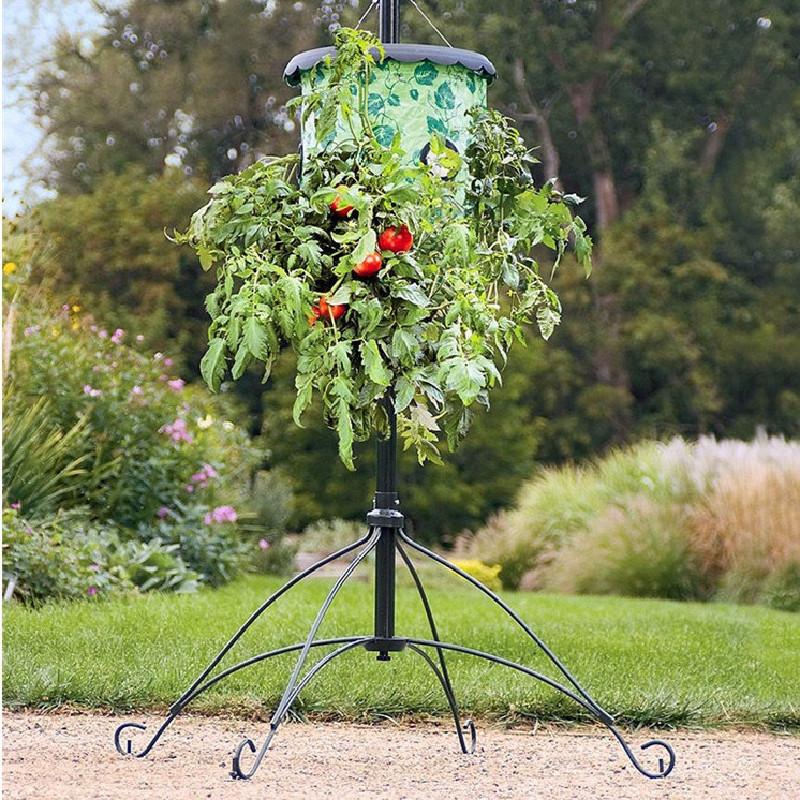 Sturdy Hanging Planter Bag For Tomatoes Strawberries Balcony And Home Gardening