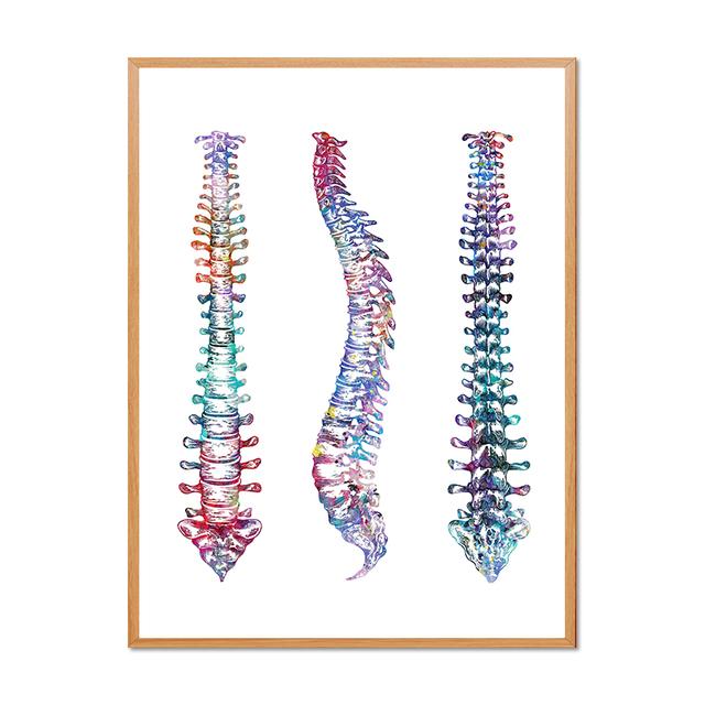 Human Skeleton Medical Anatomy Diagram Decorative Painting Limbs Structure Diagram Poster Room Wall Art Prints Modern Home Decor No Frame