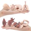 Modelli di Organi del Corpo Umano 3D 8 Pezzi Ausili Didattici per Bambini Scuola di Medicina Busto Umano Classe Educativa Materiale Didattico