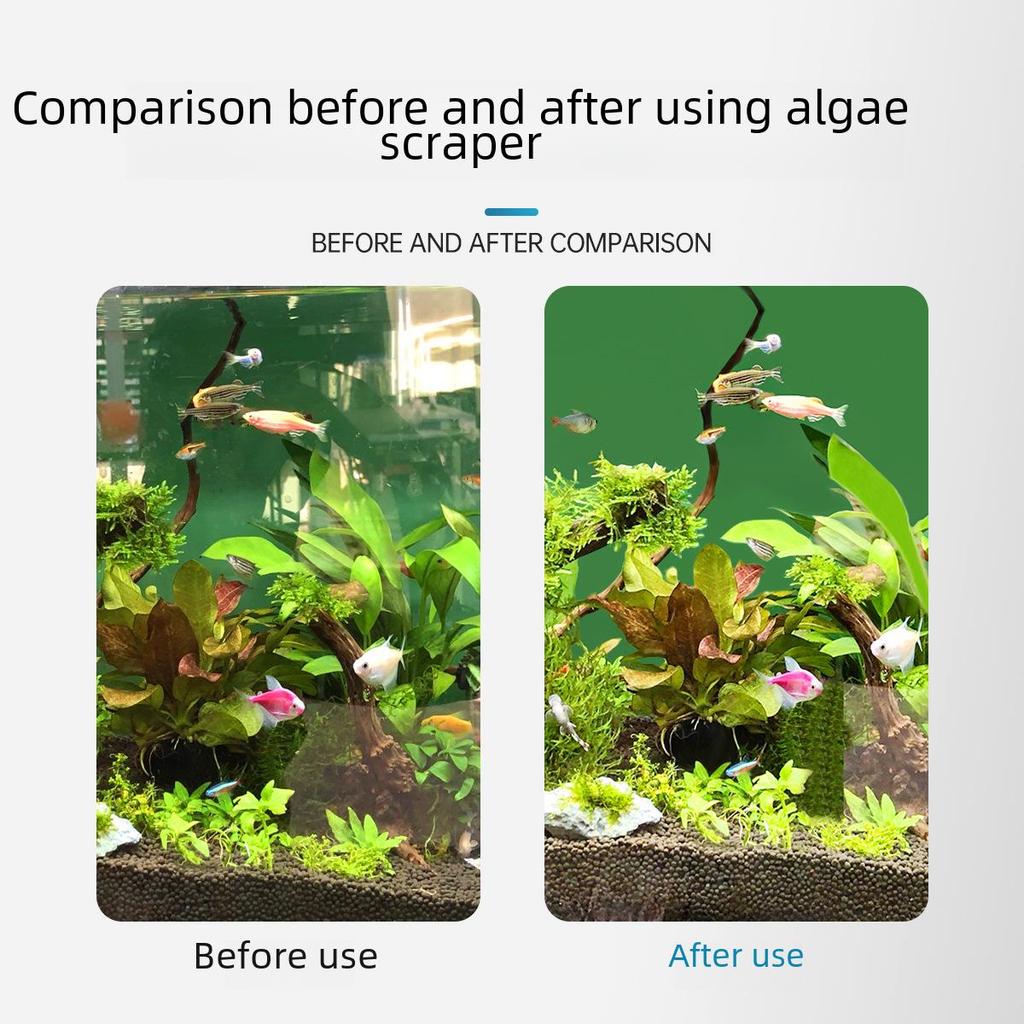 Wide Algae Scraper for Fish Tanks and Aquariums - Long Handle Blade for Algae and Moss Removal.